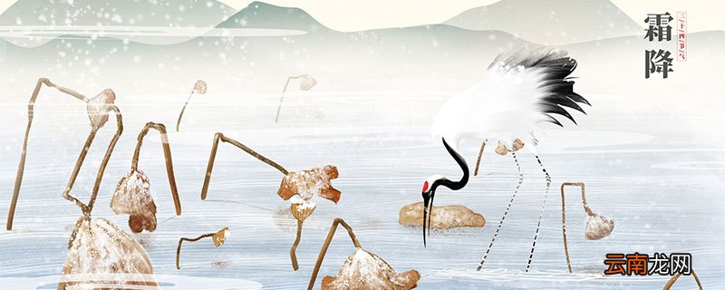 霜降吃什么 霜降吃的食物