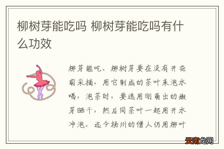 柳树芽能吃吗 柳树芽能吃吗有什么功效