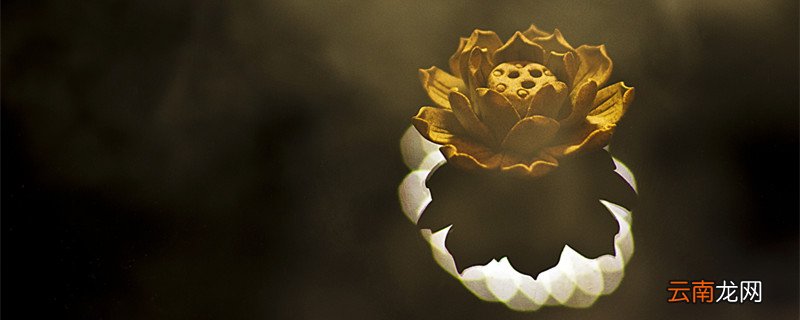 唐密藏密区别，唐密藏密区别是什么