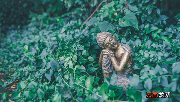 唐密藏密区别，唐密藏密区别是什么