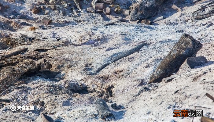 草木灰是什么烧成的 草木灰用什么草烧