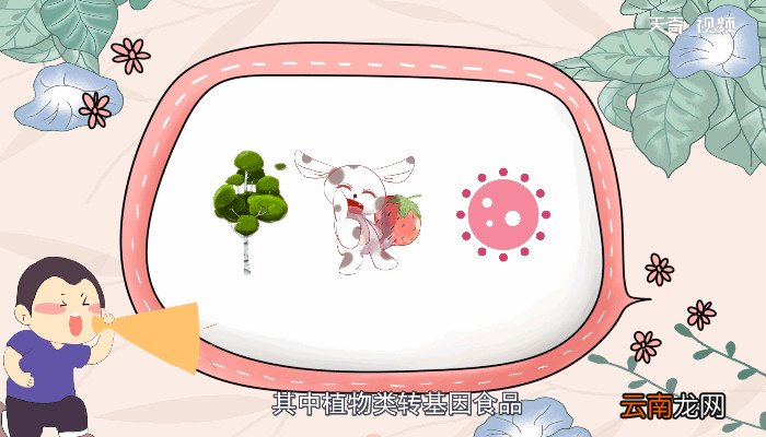 转基因食品有哪些 有哪些转基因食品