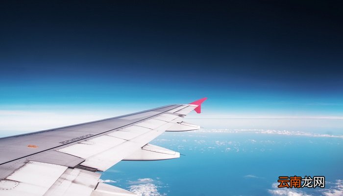 机翼在飞机哪个位置 机翼属飞机的什么部位