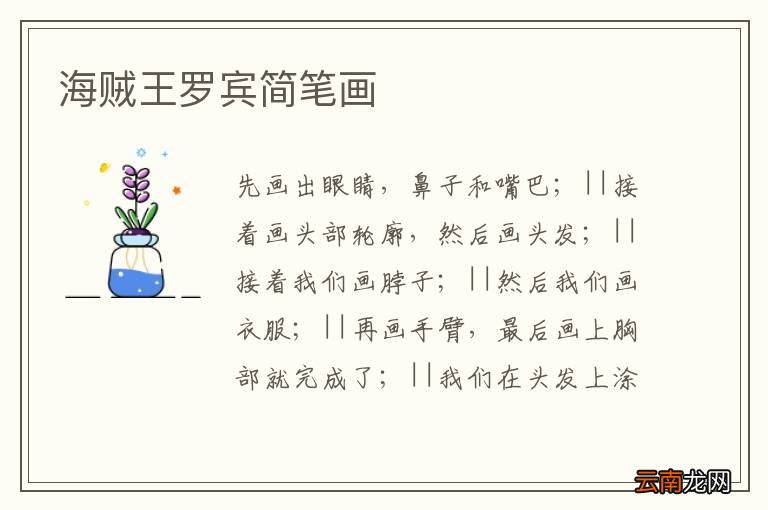 海贼王罗宾简笔画