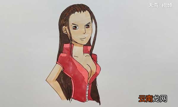 海贼王罗宾简笔画