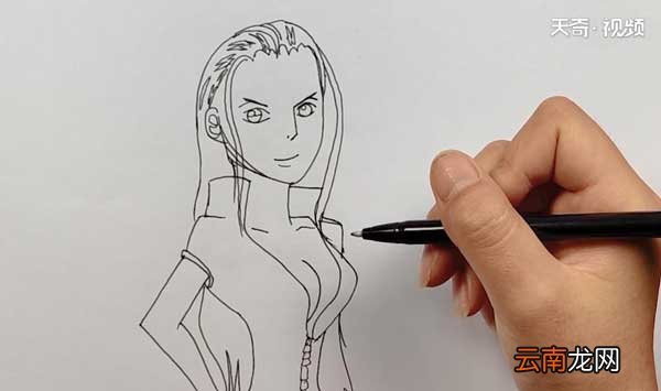 海贼王罗宾简笔画