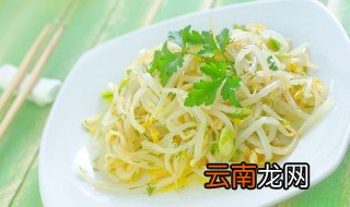 豆芽大概煮多久 煮豆芽多长时间