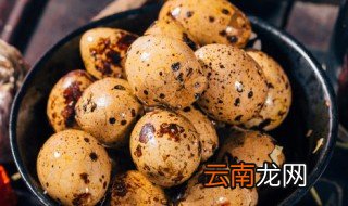煮鹌鹑蛋需要多长时间