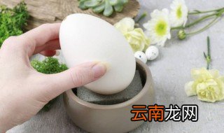 天鹅蛋煮多长时间