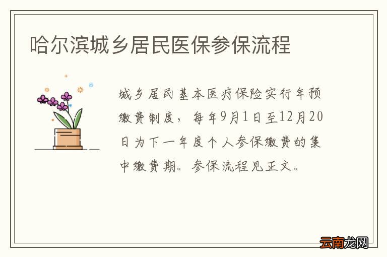 哈尔滨城乡居民医保参保流程