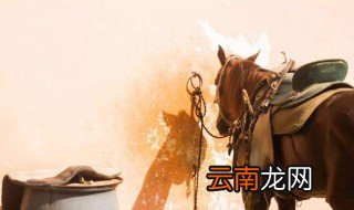 马鞍具的清洁方法 马鞍具的清洁具体方法步骤
