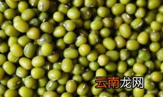 绿豆种植方法 绿豆如何种植