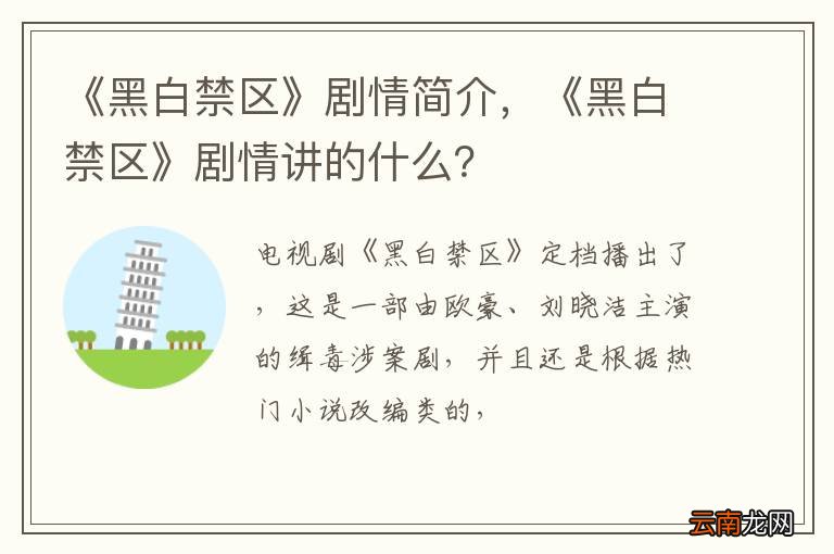 《黑白禁区》剧情简介，《黑白禁区》剧情讲的什么？