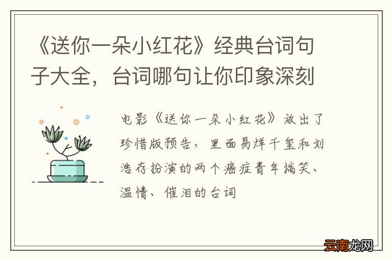 《送你一朵小红花》经典台词句子大全，台词哪句让你印象深刻