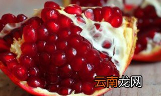 看石榴花的养殖方法和注意事项
