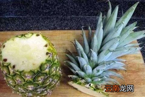 菠萝生根教程