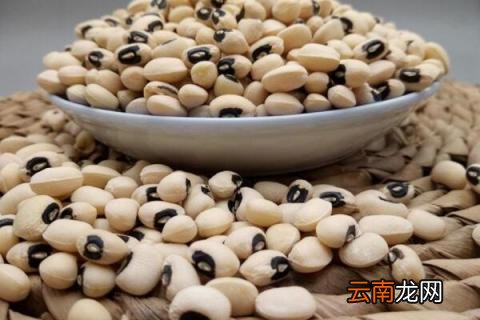 眉豆几月份种
