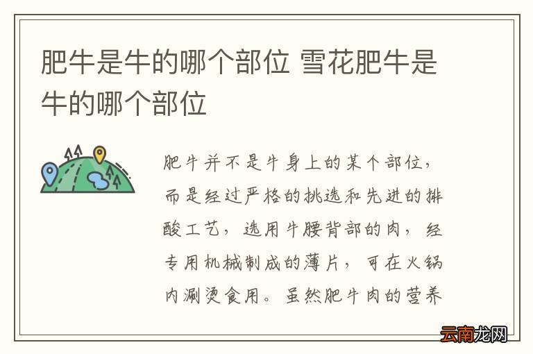 肥牛是牛的哪个部位 雪花肥牛是牛的哪个部位