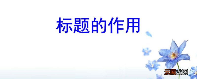 标题的作用 标题的含义与作用