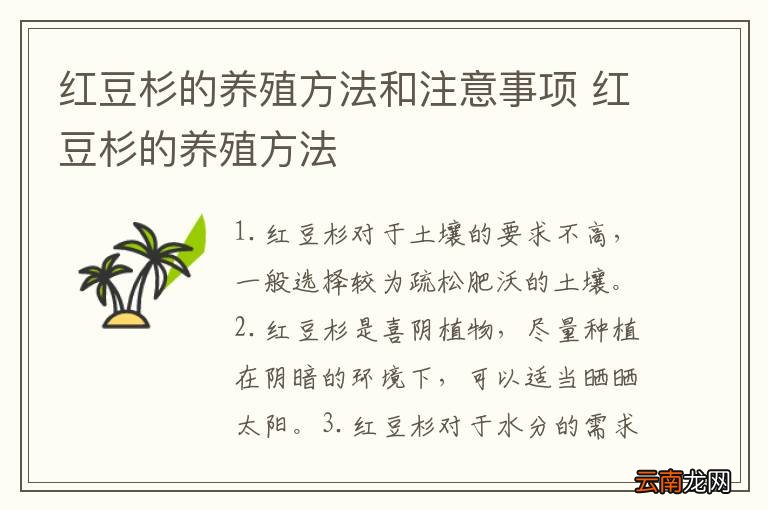 红豆杉的养殖方法和注意事项 红豆杉的养殖方法