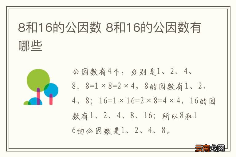 8和16的公因数 8和16的公因数有哪些