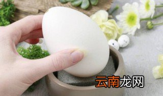 鹅蛋煮多长时间才能煮熟啊 鹅蛋煮多长时间