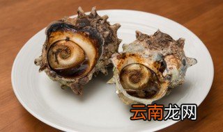 大海螺煮多长时间，大海螺煮多长时间最好吃