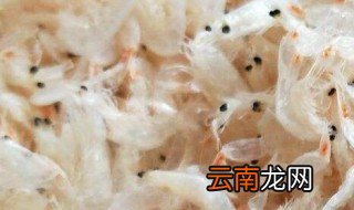 虾皮可以放在冰箱保鲜吗 虾皮可以放冰箱冷藏吗