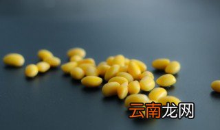 黄豆可以放在冰冻里面吗 黄豆可以放冰箱冷冻吗