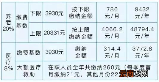 2022年度天津灵活就业人员社保缴费时间+金额+渠道