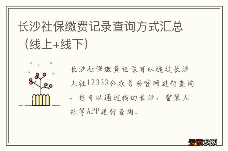 线上+线下 长沙社保缴费记录查询方式汇总