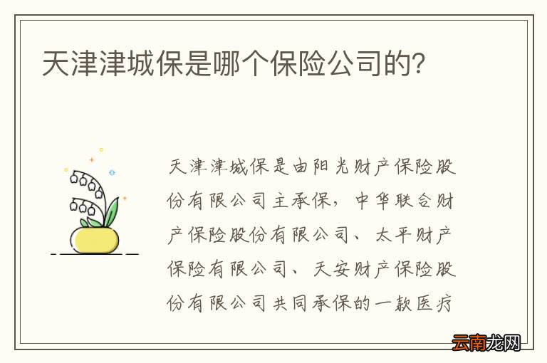 天津津城保是哪个保险公司的？