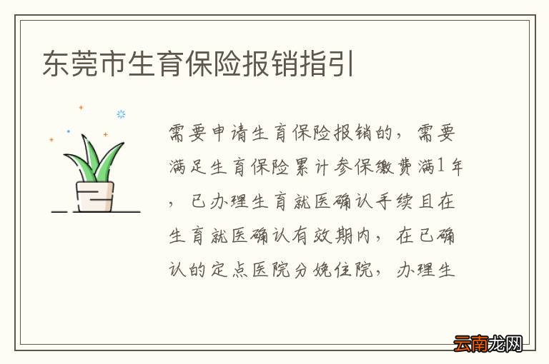 东莞市生育保险报销指引