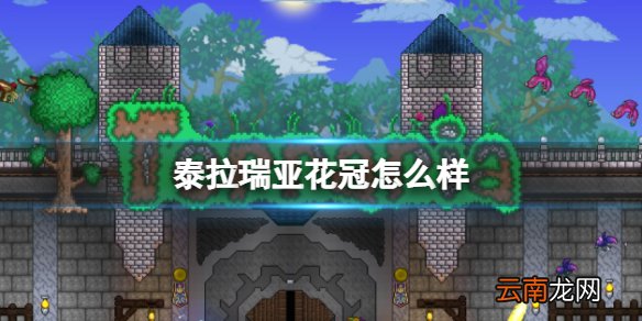 泰拉瑞亚花冠怎么样 泰拉瑞亚花冠图鉴介绍