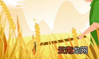 湖北中稻什么时候播种 湖北晚稻什么时候播种