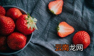 草莓种子什么时候播种最好 草莓种子什么时候播种