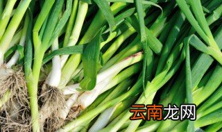 蒜苗栽培方法，培植蒜苗的方法