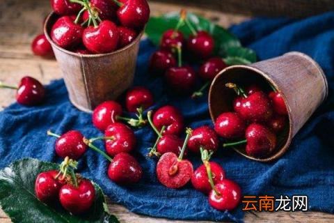 四川的樱桃什么时候成熟