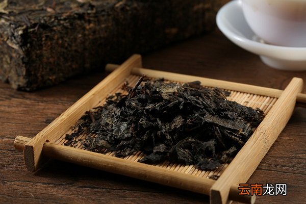 茯茶的功效与作用 茯茶的食用禁忌