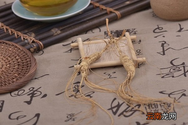 矷山人参的功效与作用 矷山人参的食用禁忌