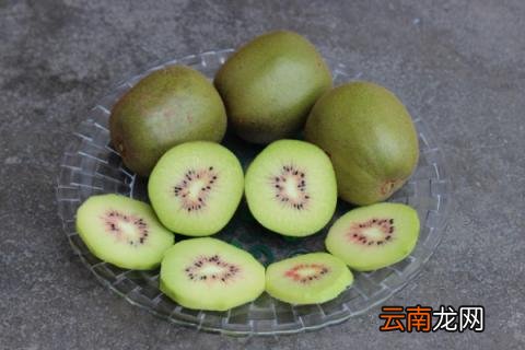 盆栽猕猴桃种植技术