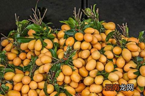 芒果里面怎么会有蛆