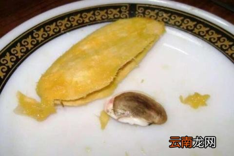 芒果核可以种吗