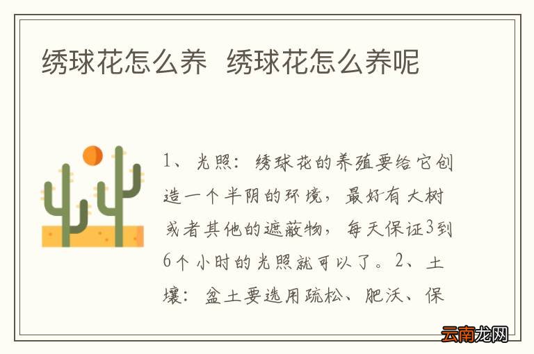 绣球花怎么养绣球花怎么养呢