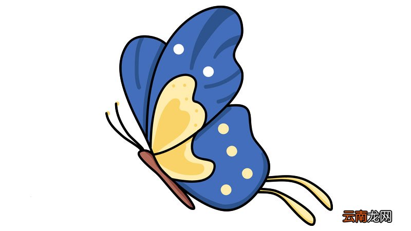蝴蝶简笔画 蝴蝶简笔画怎么画