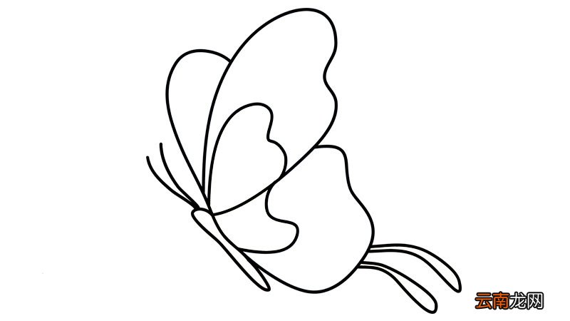 蝴蝶简笔画 蝴蝶简笔画怎么画