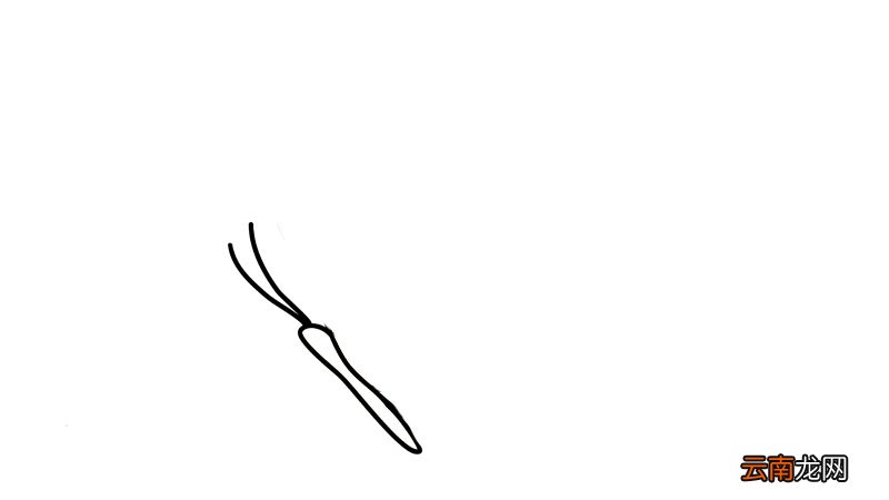 蝴蝶简笔画 蝴蝶简笔画怎么画
