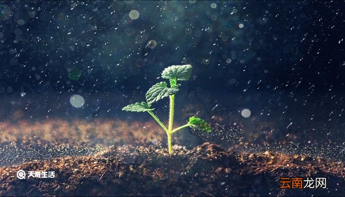 春夜喜雨古诗的解释 春夜喜雨古诗意思解释