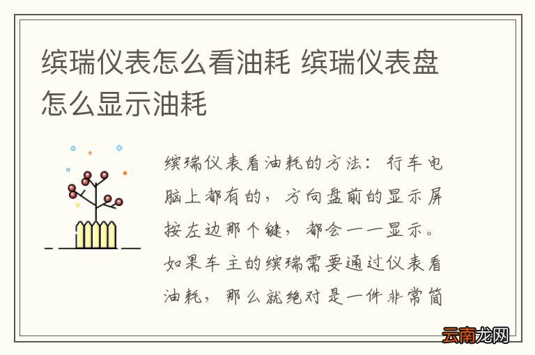 缤瑞仪表怎么看油耗 缤瑞仪表盘怎么显示油耗
