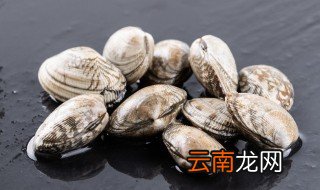 花蛤吃不完能放冰箱吗，花蛤没吃完能放冰箱